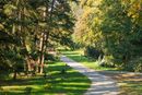 Kerkprosbart munkahely cmet kapott a Szarvasi Arbortum. Kp forrsa: pepikert.hu