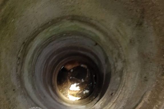  Elhagyatott porta ktjba esett egy macska tegnap, Ktegynban. Kp forrsa: Bks Vrmegyei Katasztrfavdelmi Igazgatsg