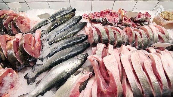 A hortobágyi halak 80 százaléka ponty, a többi busa, amur, és kisebb mennyiségben ragadozó, többnyire harcsa. A növényevő halak bio minősítésűek. Kép: Hortobágyi Halgazdaság Zrt. A hortobágyi halak 80 százaléka ponty, a többi busa, amur, és kisebb mennyiségben ragadozó, többnyire harcsa. A növényevő halak bio minősítésűek. Kép: Hortobágyi Halgazdaság Zrt.