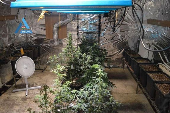 A DELTA elm�lt �v�nek B�k�s v�rmegyei k�peib�l. K�pek forr�sa: B�k�s V�rmegyei Rend�r-f�kapit�nys�g