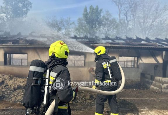 T�z puszt�tott az �llattart� telepen, tegnap, d�lut�n, B�k�scsaba k�lter�let�n. K�pek forr�sa: B�k�s V�rmegyei Katasztr�fav�delmi Igazgat�s�g