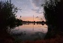 Az esti Liget-t�, Gyulav�riban. K�p forr�sa: Facebook   