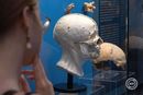 Tizenhat, csaknem k�tezer �vvel ezel�tt �lt, r�mai kori aquincumi ember rekonstru�lt arc�val tal�lkozhatnak a l�togat�k a Budapesti T�rt�neti M�zeum Aquincumi M�zeum�nak cs�t�rt�k�n megny�lt id�szaki ki�ll�t�s�n. K�pek: MTI / Kocsis Zolt�n