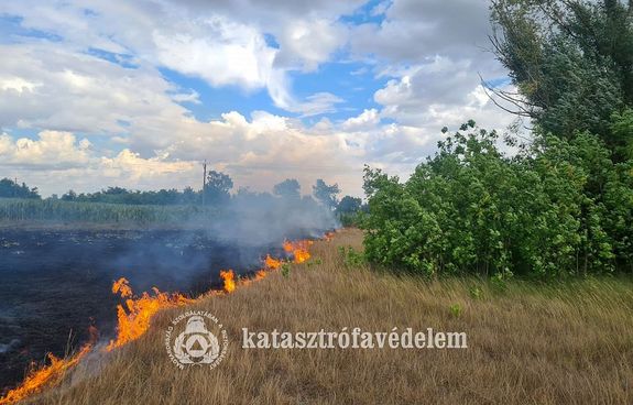 Sz�raz f� gyulladt ki tegnap, d�lut�n, Gyula k�lter�let�n. K�p forr�sa: B�k�s V�rmegyei Katasztr�fav�delmi Igazgat�s�g   