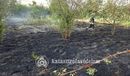 +