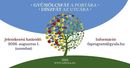 Gyula V�ros �nkorm�nyzata id�n is meghirdette a Gy�m�lcsf�t a port�ra, d�szf�t az utc�ra elnevez�s�, k�rnyezetsz�p�t�, z�ld v�ros akci�j�t. K�p forr�sa: az �nkorm�nyzat Facebook-oldala