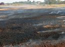 +