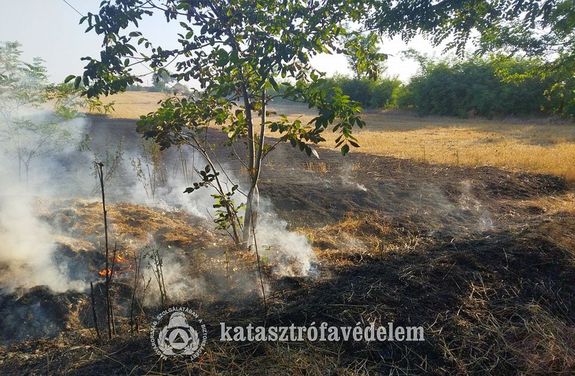  Gabonatarl� �gett sz�z�tven n�gyzetm�teren, Orosh�za k�lter�let�n. K�p forr�sa: B�k�s V�rmegyei Katasztr�fav�delmi Igazgat�s�g