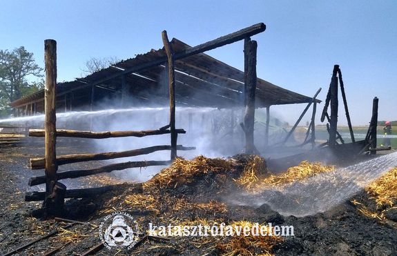 Szalmabálák gyulladtak ki szerdán, délután, Kétsoprony külterületén. A tűz karám tetőszerkezetére is átterjedt, amelyben mintegy ötven szarvasmarhát tartottak. Kép forrása: Békés Vármegyei Katasztrófavédelmi Igazgatóság Szalmabálák gyulladtak ki szerdán, délután, Kétsoprony külterületén. A tűz karám tetőszerkezetére is átterjedt, amelyben mintegy ötven szarvasmarhát tartottak. Kép forrása: Békés Vármegyei Katasztrófavédelmi Igazgatóság