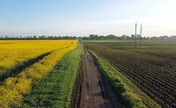 A szántóföldi növénytermesztésben érintettek a vadkárok csökkentését szeretnék, és a vadgazdálkodók, hogy ne szorítsák ki a vadat mindenhonnan. A kép illusztráció. Kép: DepositPhotos A szántóföldi növénytermesztésben érintettek a vadkárok csökkentését szeretnék, és a vadgazdálkodók, hogy ne szorítsák ki a vadat mindenhonnan. A kép illusztráció. Kép: DepositPhotos