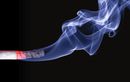 +