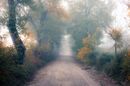 Szombaton, hajnalban, ködfoltok alakulhatnak ki. A kép illusztráció. Kép: Shutterstock Szombaton, hajnalban, ködfoltok alakulhatnak ki. A kép illusztráció. Kép: Shutterstock