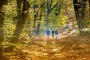 Folytatódik a napos, száraz, kellemes, kora őszi idő. A legmelegebb órákban, 23 és 27 Celsius-fok között alakul a hőmérséklet, de nagy lesz a napi hőingás, hajnalban mínusz 1 fok is lehet. A kép illusztráció. Kép: Pixabay Folytatódik a napos, száraz, kellemes, kora őszi idő. A legmelegebb órákban, 23 és 27 Celsius-fok között alakul a hőmérséklet, de nagy lesz a napi hőingás, hajnalban mínusz 1 fok is lehet. A kép illusztráció. Kép: Pixabay