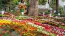 Gyul�n, nagy becs�lete van a vir�goknak. A k�p a Gyulai Vir�gok Fesztiv�lja 2026 vir�gki�ll�t�son �s v�s�ron k�sz�lt. K�p: CsodalatosMagyarorszag.hu