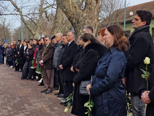 Gyuln, a megemlkezs rsztvevi koszorkat s virgokat helyeztek el dr. Erddi Lajos emlkoszlopnl. Kp: dr. Grgnyi Ern polgrmester kzssgi oldala   