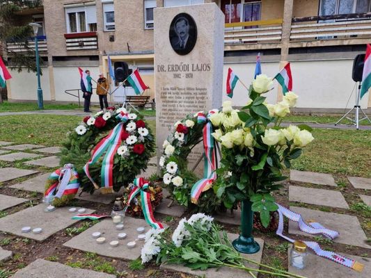 A gyulai dr. Erddi Lajosnak, a np gyvdjnek, 2010-ben emeltek emlkoszlopot Gyuln, a Bke sugrton, egykori szlhza helyn. Kp forrsa: dr. Grgnyi Ern polgrmester kzssgi oldala