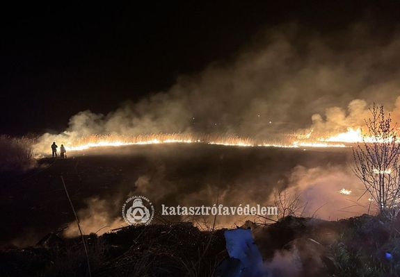 : Ndas s szemt gett mrcius 27-n, este, Eleken. Kp: Bks Vrmegyei Katasztrfavdelmi Igazgatsg