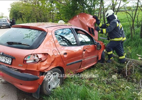 Fnak csapdott egy szemlygpkocsi Pusztafldvr kzelben, a 4429-es ton. Kp forrsa: Bks Vrmegyei Katasztrfavdelmi Igazgatsg