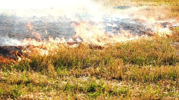 A Hajd-Bihar vrmegyei Zska klterletn, nagy kiterjedsben, foltokban gett a nvnyzet, htfn, dlutn. A kp illusztrci. Kp: Depositphotos   
