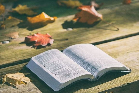 Dr. Reisinger Jnos azzal az lltssal kezdte a tma kifejtst, hogy az vezredek trtnelmben ktsgtelen bizonytst nyert bibliai prfcik, esemnykronolgik igazoljk a Biblia kijelentseinek igazsgtartalmt. Kp: Pixabay