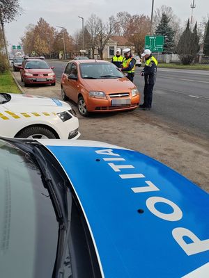 Kpek a kzs, bkscsabai ellenrzsrl. Kpek: Police.hu
