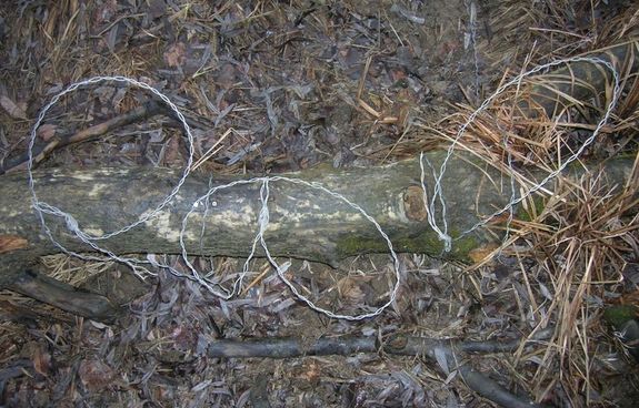 Hurokcsapdk. A kp illusztrci.Kp forrsa: Hortobgyi Nemzeti Park Igazgatsgnak honlapja