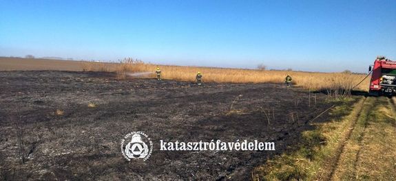  Ndas gett Bks vrmegyben, Nagykamars s Kevermes kztt, cstrtkn, dlutn. Kp forrsa: Bks Vrmegyei Katasztrfavdelmi Igazgatsg