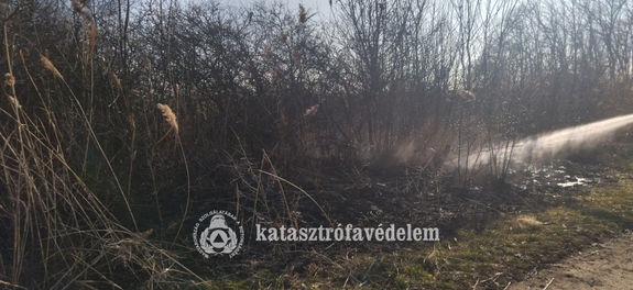  Szerdn, dlutn, Battonya klterletn, mintegy szz ngyzetmteren gett a szraz f. Kp forrsa: Bks vrmegyei Katasztrfavdelmi Igazgatsg   