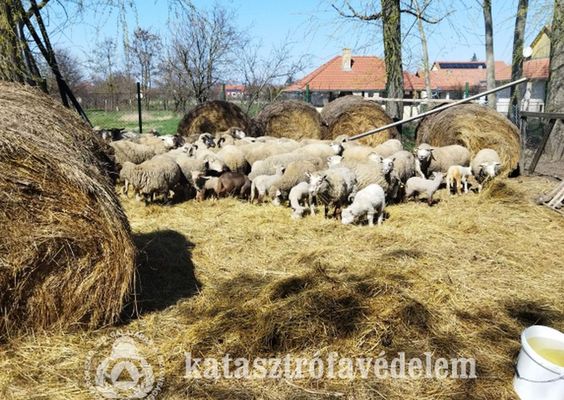 Tz ttt ki a Hajd-Bihar vrmegyei jirzon, tegnap, dleltt. Az oltsban Bks vrmegyei, szeghalmi tzoltk is rszt vettek. Kp forrsa: Bks Vrmegyei Katasztrfavdelmi Igazgatsg
