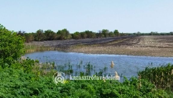 Tz hektron gett ndas s tarl szombaton, Blmegyer klterletn. Kp forrsa: Bks Vrmegyei Katasztrfavdelmi Igazgatsg   
