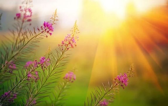 Mjus 1-jn, napkzben, napos id vrhat kevs gomoly-, s ftyolfelhvel, csapadkra minimlis az esly. Kp forrsa: Everpixel.com