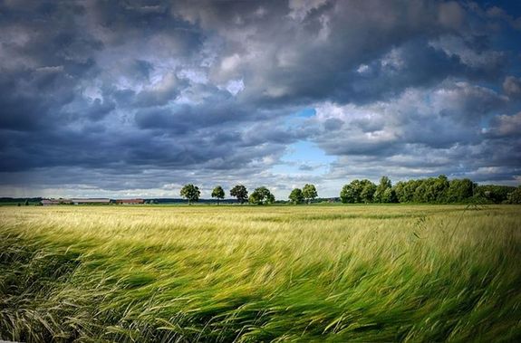 ,,… mjusi es aranyat r, / fagyos szenteket elzi a szl.” Kp: Pixabay