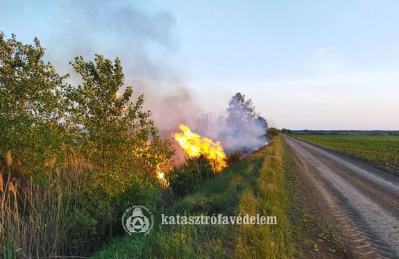 Ndas gett tegnap, Mezberny kzelben. Kp forrsa: Bks Vrmegyei Katasztrfavdelmi Igazgatsg   