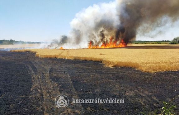 Legett a nyolchektros bzatbla Szeghalom hatrban, cstrtkn, dlutn. Kp forrsa: Bks Vrmegyei Katasztrfavdelmi Igazgatsg   