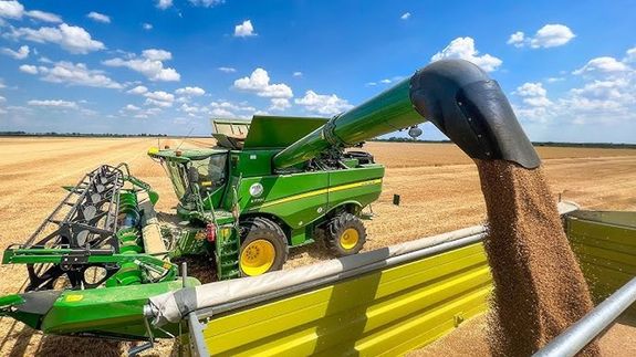 Az szi bza vetsterlete jelenleg 976 ezer hektr, ezen 4,5 milli tonna j minsg bza arathat, idn. A belfldi szksglet 2 milli tonna, a tbbi az EU-n bell tallhat vevre. A kp illusztrci. Kp forrsa: YouTube   