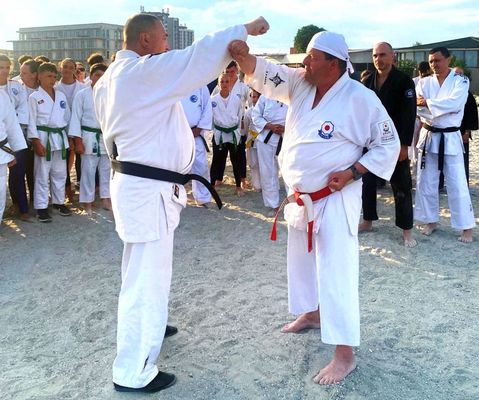 Dczi Rbert VI. DAN s Gregor Lszl VIII. DAN bemutatt tart. Kp forrsa: Szerz