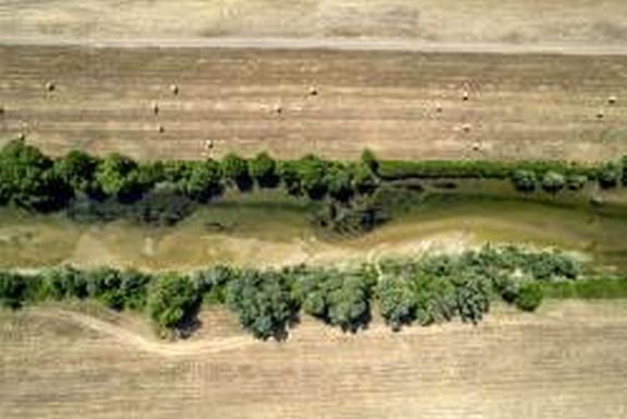 A dr�nnal k�sz�lt k�pen, az alacsony v�z�ll�s� Sebes-K�r�s a Hajd�-Bihar v�rmegyei K�r�sszak�l k�zel�ben, 2025. j�nius 30-�n. A HungaroMet Zrt. agrometeorol�giai elemz�se szerint, rendk�v�li sz�razs�g tombol az orsz�gban. A fels�, egym�teres r�tegb�l 100-140 millim�ter nedvess�g hi�nyzik. K�p: MTI / Czegl�di Zsolt   