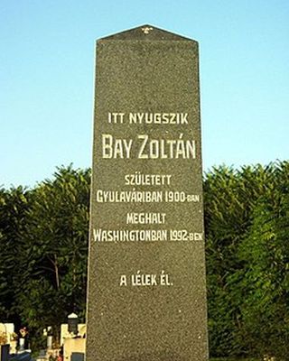 Bay Zolt�n s�reml�ke a gyulav�ri temet�ben. K�p forr�sa: Wikip�dia