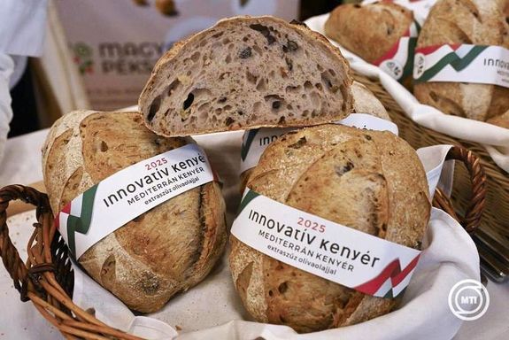 Az innovatv kenyr kategria-gyztese a Csongrd-Csand vrmegyei, mrahalmi Varga Pksg extra szz olvaolajos mediterrn kenyere lett. Kp: MTI / Lakatos Pter