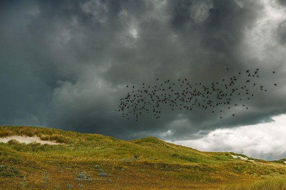 Ers szllel hidegfront hoz csapadkot s lehlst a nyr utols napjaira. Vasrnap, mr csak 24-30 fok vrhat a legmelegebb rkban. A kp illusztrci. Kp: Pixabay   