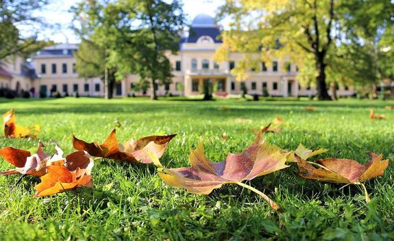 A Gyulai Almsy-kastly Ltogatkzpontban, szeptember 20-n, szombaton, 11 rtl 16 rig, rnknt indul a padlsltogats. Kp forrsa: Gyulai Almsy-kastly Ltogatkzpont Facebook-oldala