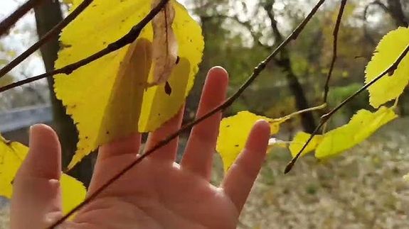 Felhős idő várható a hétvégén, több-kevesebb napsütéssel. A hőmérséklet csúcsértéke 20 Celsius-fok körül alakul. A kép illusztráció. Kép: YouTube Felhős idő várható a hétvégén, több-kevesebb napsütéssel. A hőmérséklet csúcsértéke 20 Celsius-fok körül alakul. A kép illusztráció. Kép: YouTube