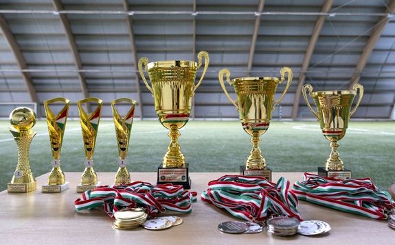 A Grosics Labdarg Akadmin, Gyuln. A Bks Vrmegyei Rendr-fkapitnysg szervezsben, a Belgyminisztrium Orszgos Kisplys Labdarg Bajnoksgn, tizenhat csapat mrkztt. Kpek: Bks Vrmegyei Rendr-fkapitnysg   