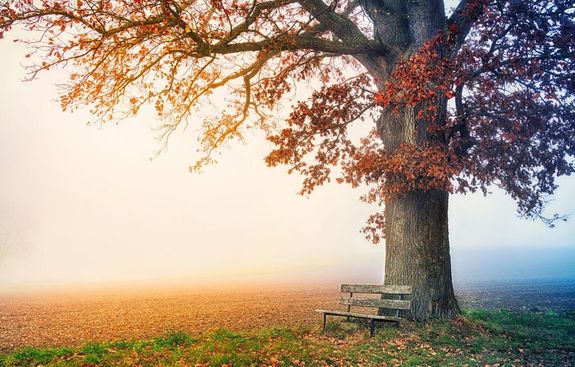 A hten, napos s tartsan kds tjak is elfordulhatnak az orszgban. Az jszaka kpzd kd s rtegfelhzet tbbfel megmaradhat napkzben is. A kp illusztrci. Kp: Unsplash