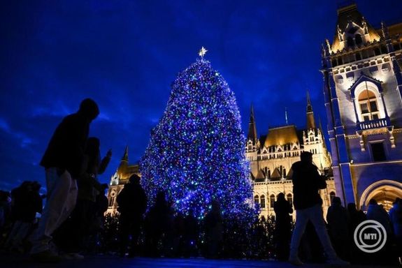 A csaknem 23 mteres ezstfeny a tbb napig tart dszts utn, advent els vasrnapjnak dlutnjn nyerte el teljes pompjt. Kp: MTI / Hegeds Rbert