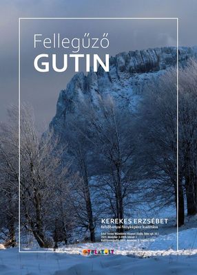 Kerekes Erzsbet killtst Bagyinszki Zoltn Podmaniczky-djas fotogrfus nyitja meg, kzremkdik Johnny Moonlight. A killts 2026. februr 1-ig lthat a gyulai mveldsi kzpontban. A meghv-plakt forrsa: Gyulakult   