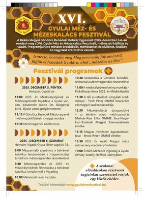 A Gyulai Mz- s Mzeskalcs Fesztivl meghv-plaktja. Kp: Szervezk   