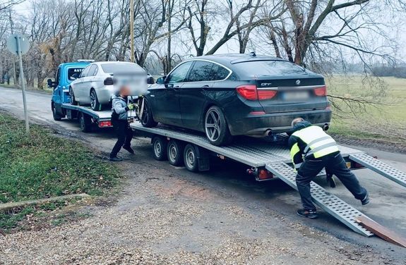 Kpek a kedden, hajnali rajtatsrl. Kpek: Police.hu