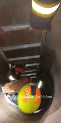  Elhagyatott porta ktjba esett egy macska tegnap, Ktegynban. Kp forrsa: Bks Vrmegyei Katasztrfavdelmi Igazgatsg