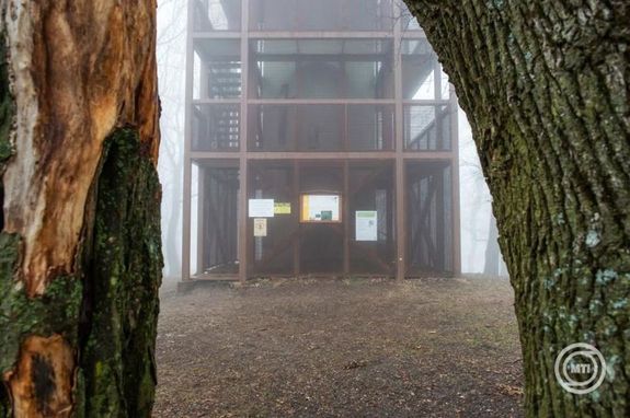 Az v kiltja 2025 plyzat gyztese, a mecseki Zengn ll, htemeletes kilt az eredmnyhirdets napjn, 2025. december 4-n, Pcsvradon. Kp: MTI / Kacsr Tams